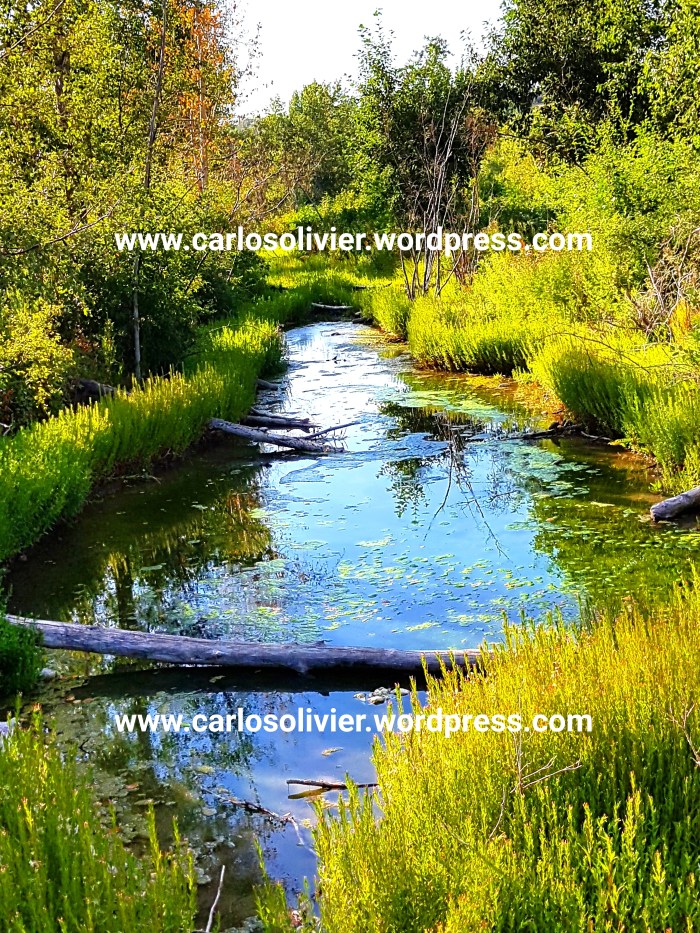 photostudio_1507748172866